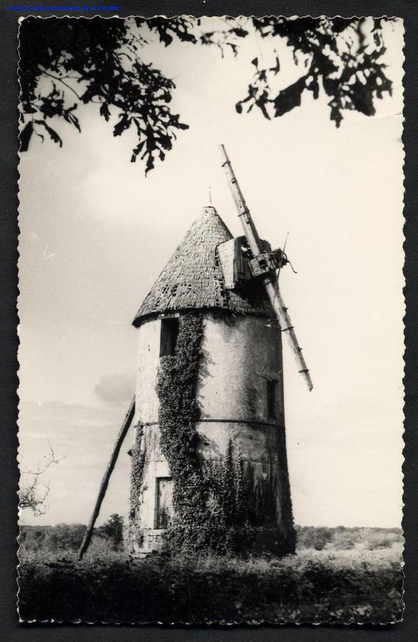Vila Moulin A Vent Le Champ Du Trail Saint-Cyr-des-Gats Exteriér fotografie
